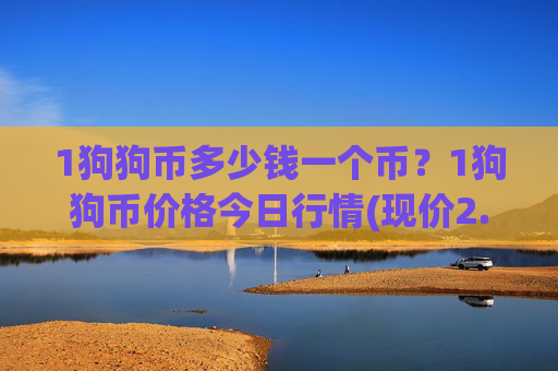 1狗狗币多少钱一个币?1狗狗币价格今日行情(现价2.3956元)