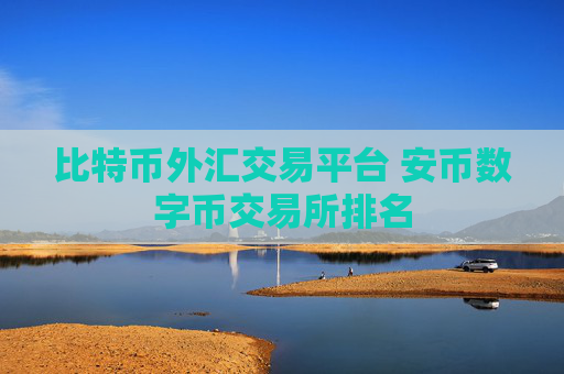 比特币外汇交易平台 安币数字币交易所排名