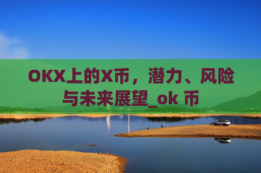 OKX上的X币,潜力、风险与未来展望_ok 币