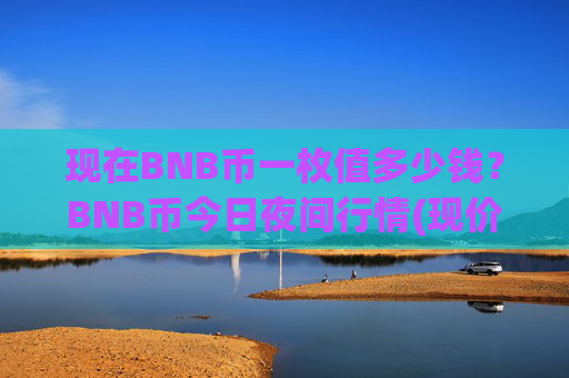 现在BNB币一枚值多少钱？BNB币今日夜间行情(现价4881.56元)