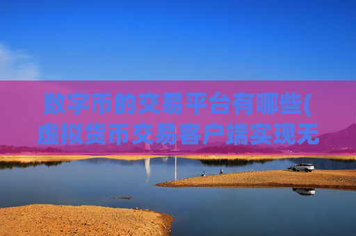数字币的交易平台有哪些(虚拟货币交易客户端实现无缝交易)