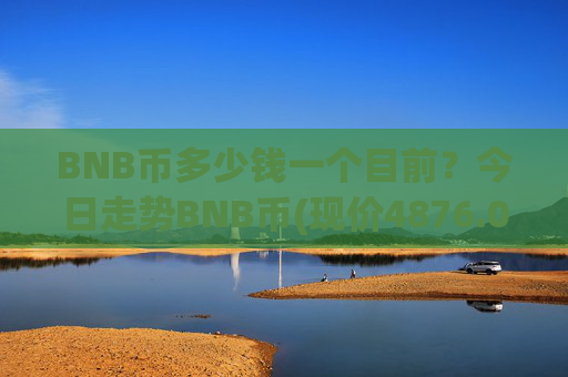 BNB币多少钱一个目前?今日走势BNB币(现价4876.01元)