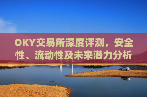 OKY交易所深度评测，安全性、流动性及未来潜力分析_oky交易所官网