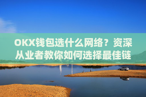 OKX钱包选什么网络?资深从业者教你如何选择最佳链上网络_okex钱包是什么