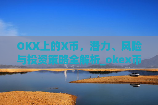 OKX上的X币，潜力、风险与投资策略全解析_okex币币