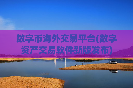 数字币海外交易平台(数字资产交易软件新版发布)