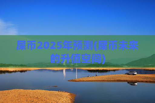 屎币2025年预测(屎币未来的升值空间)