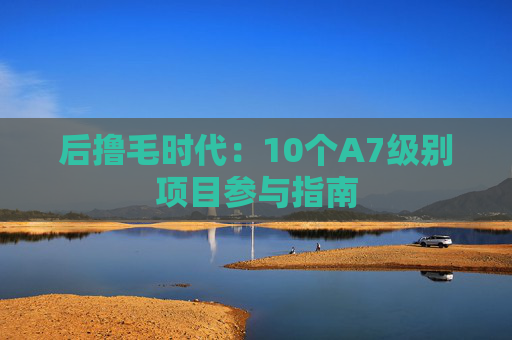 后撸毛时代:10个A7级别项目参与指南