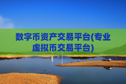 数字币资产交易平台(专业虚拟币交易平台)
