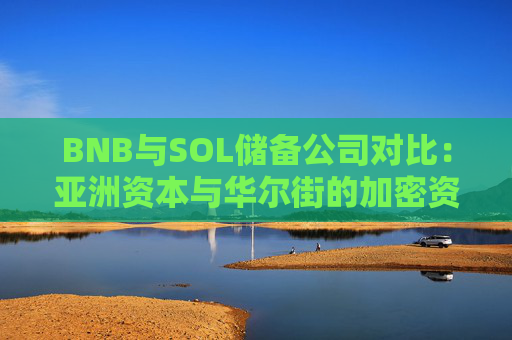 BNB与SOL储备公司对比:亚洲资本与华尔街的加密资产布局