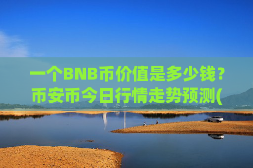 一个BNB币价值是多少钱?币安币今日行情走势预测(现价4822.91元)