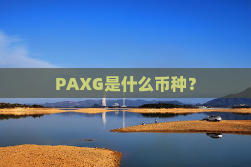 PAXG是什么币种?