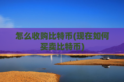 怎么收购比特币(现在如何买卖比特币)