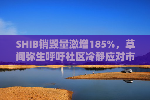 SHIB销毁量激增185%,草间弥生呼吁社区冷静应对市场波动