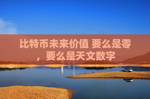 比特币未来价值 要么是零,要么是天文数字