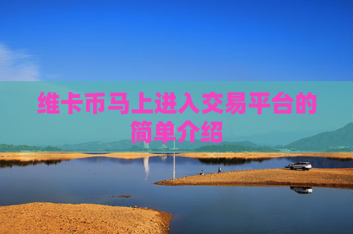 维卡币马上进入交易平台的简单介绍