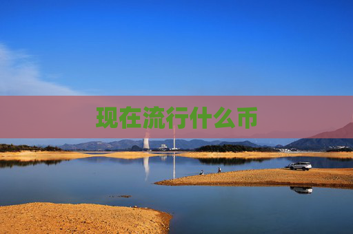 现在流行什么币
