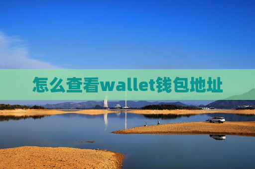 怎么查看wallet钱包地址