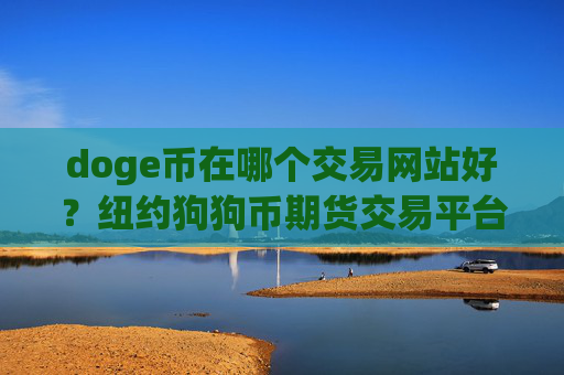 doge币在哪个交易网站好？纽约狗狗币期货交易平台app