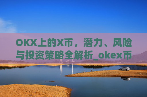 OKX上的X币,潜力、风险与投资策略全解析_okex币币