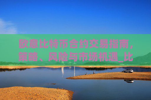 欧意比特币合约交易指南,策略、风险与市场机遇_比特币合约omex