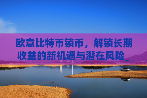 欧意比特币锁币，解锁长期收益的新机遇与潜在风险_欧比特币是什么