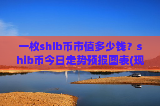 一枚shib币市值多少钱？shib币今日走势预报图表(现价0.00016208元)