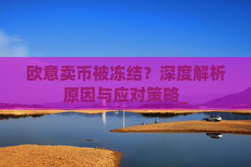 欧意卖币被冻结？深度解析原因与应对策略_