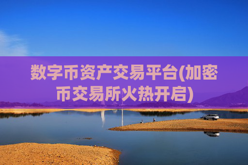 数字币资产交易平台(加密币交易所火热开启)
