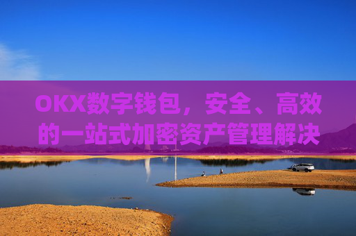 OKX数字钱包,安全、高效的一站式加密资产管理解决方案_w0t0ken数字钱包