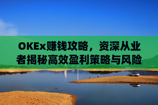 OKEx赚钱攻略,资深从业者揭秘高效盈利策略与风险控制_okex的赚币