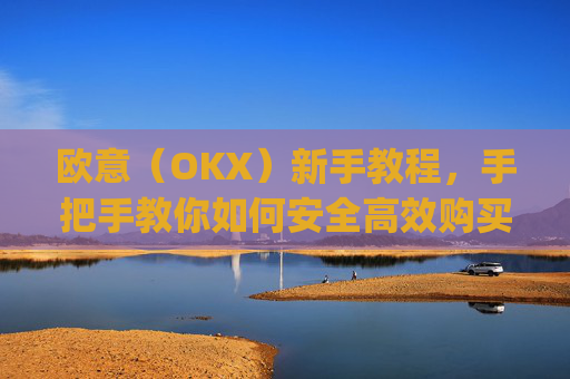 欧意(OKX)新手教程,手把手教你如何安全高效购买数字货币_