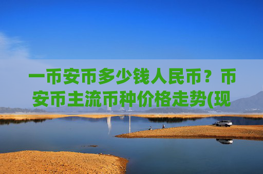 一币安币多少钱人民币?币安币主流币种价格走势(现价4849.44元)
