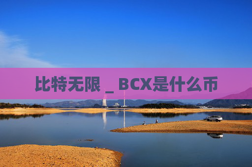 比特无限 _ BCX是什么币