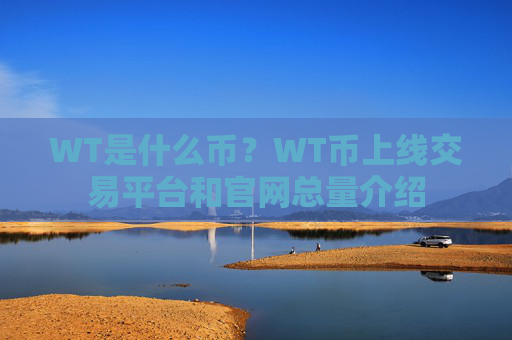 WT是什么币?WT币上线交易平台和官网总量介绍