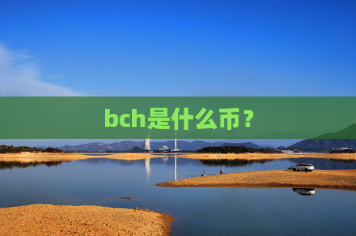 bch是什么币?