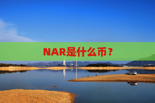 NAR是什么币?