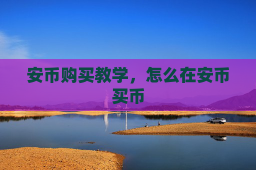 安币购买教学,怎么在安币买币