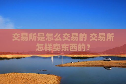 交易所是怎么交易的 交易所怎样卖东西的？
