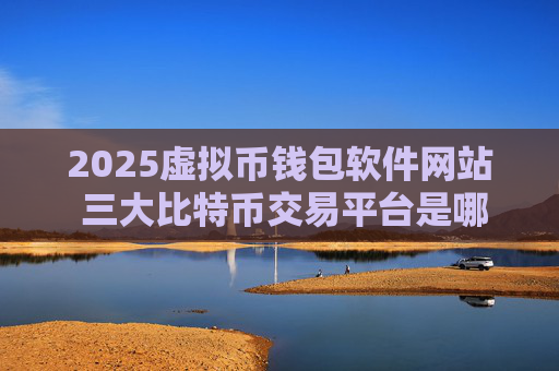 2025虚拟币钱包软件网站 三大比特币交易平台是哪三个