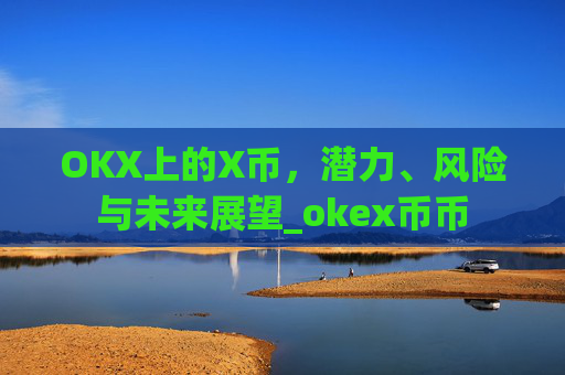 OKX上的X币，潜力、风险与未来展望_okex币币