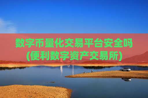 数字币量化交易平台安全吗(便利数字资产交易所)
