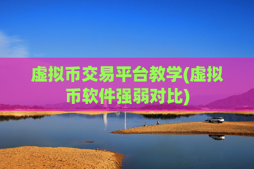 虚拟币交易平台教学(虚拟币软件强弱对比)