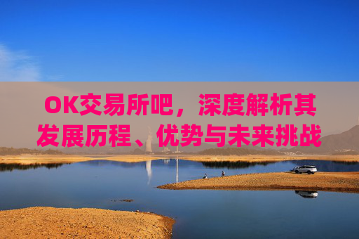 OK交易所吧，深度解析其发展历程、优势与未来挑战_ok 交易所