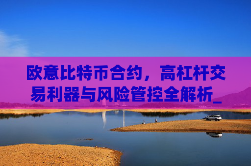欧意比特币合约,高杠杆交易利器与风险管控全解析_欧比特币app