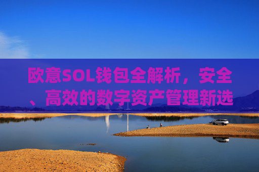 欧意SOL钱包全解析，安全、高效的数字资产管理新选择_oex钱包是什么