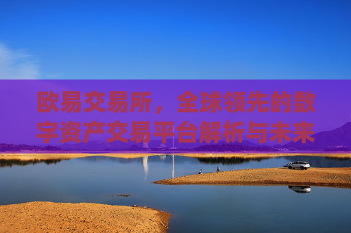 欧易交易所,全球领先的数字资产交易平台解析与未来展望_