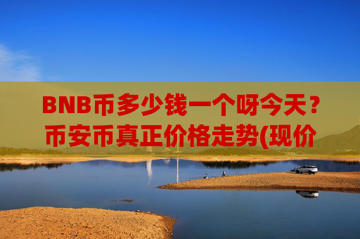 BNB币多少钱一个呀今天？币安币真正价格走势(现价4834.58元)