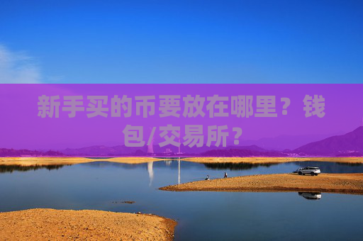 新手买的币要放在哪里?钱包/交易所?