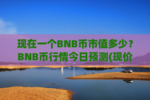 现在一个BNB币市值多少?BNB币行情今日预测(现价4866.82元)